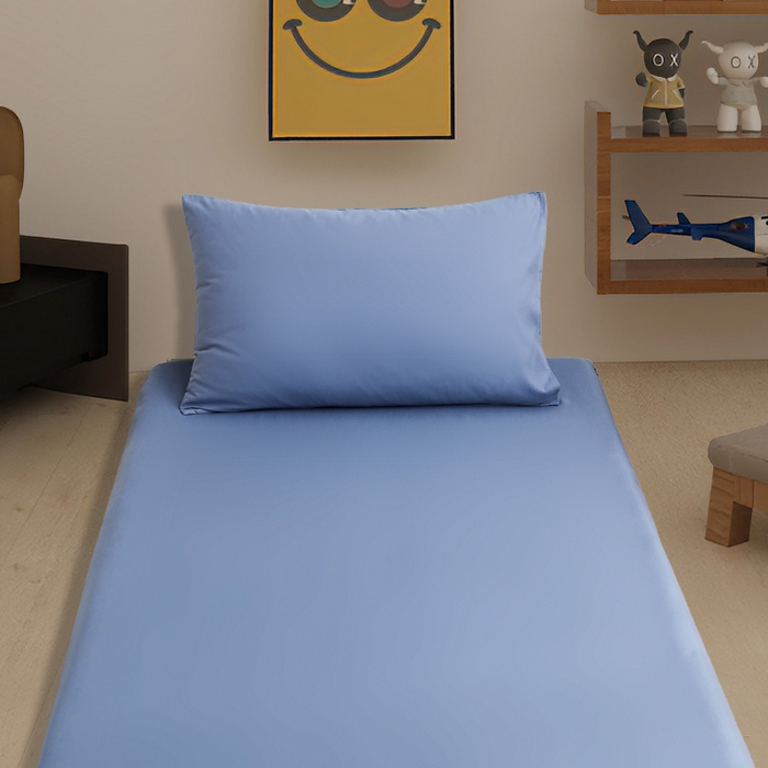 91家纺网 家纺一手货源 找家纺 啊雅家居 2026新款学生宿舍家用双面被褥套床垫套 蓝色