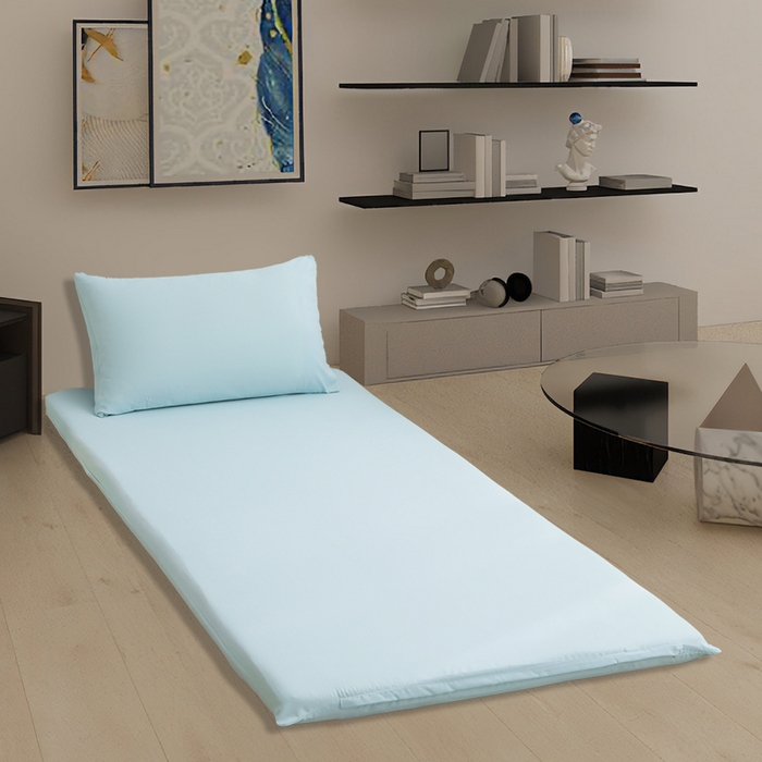 91家纺网 家纺一手货源 找家纺 啊雅家居 2026新款学生宿舍家用双面被褥套床垫套 水绿