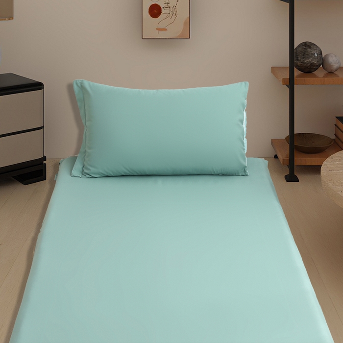 91家纺网 家纺一手货源 找家纺 啊雅家居 2026新款学生宿舍家用双面被褥套床垫套 星蓝