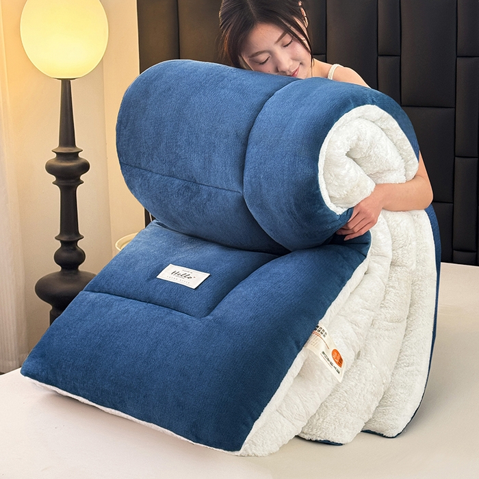 91家纺网 家纺一手货源 找家纺 天瑜家纺 2026新款180克牛奶绒羊羔绒冬被外贸被子电商跨境冬被被子被芯 蓝白