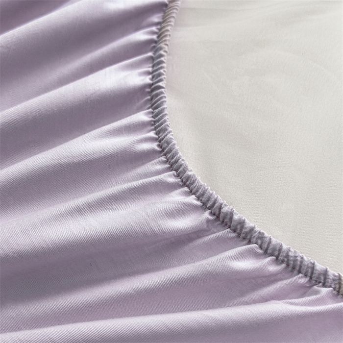 91家纺网 家纺一手货源 找家纺 糯米猪家纺 2025新款A类卡皮巴拉全棉夹棉床笠 彩虹-紫