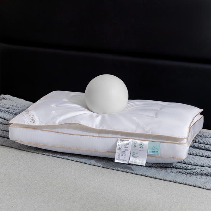 91家纺网 家纺一手货源 找家纺 （总）星芯合家纺 2025新款玻尿酸蚕丝二合一枕枕头枕芯