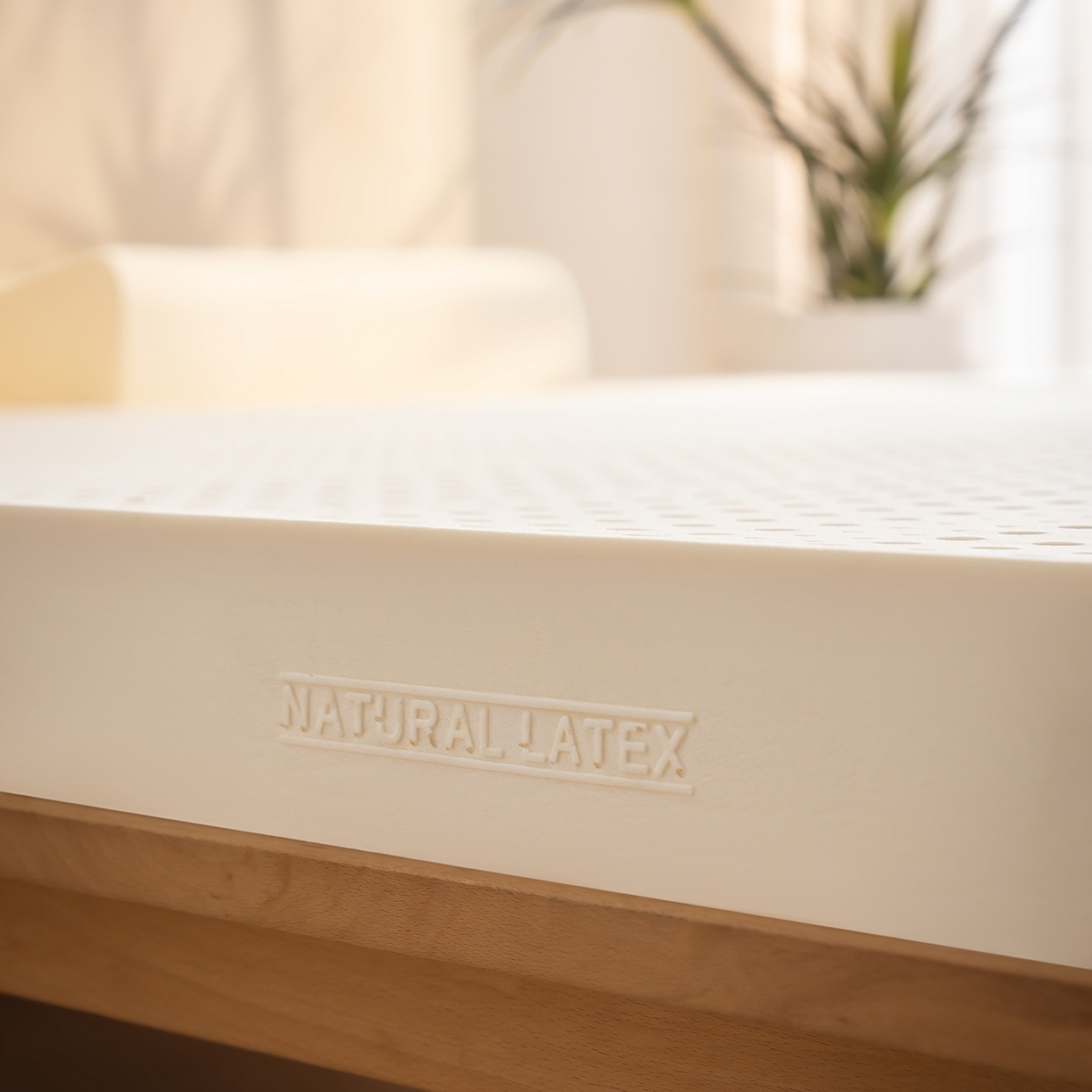 91家纺网 家纺一手货源 找家纺 （总）可恩欣 2026新款简约乳胶床垫（泰国进口乳胶原液）