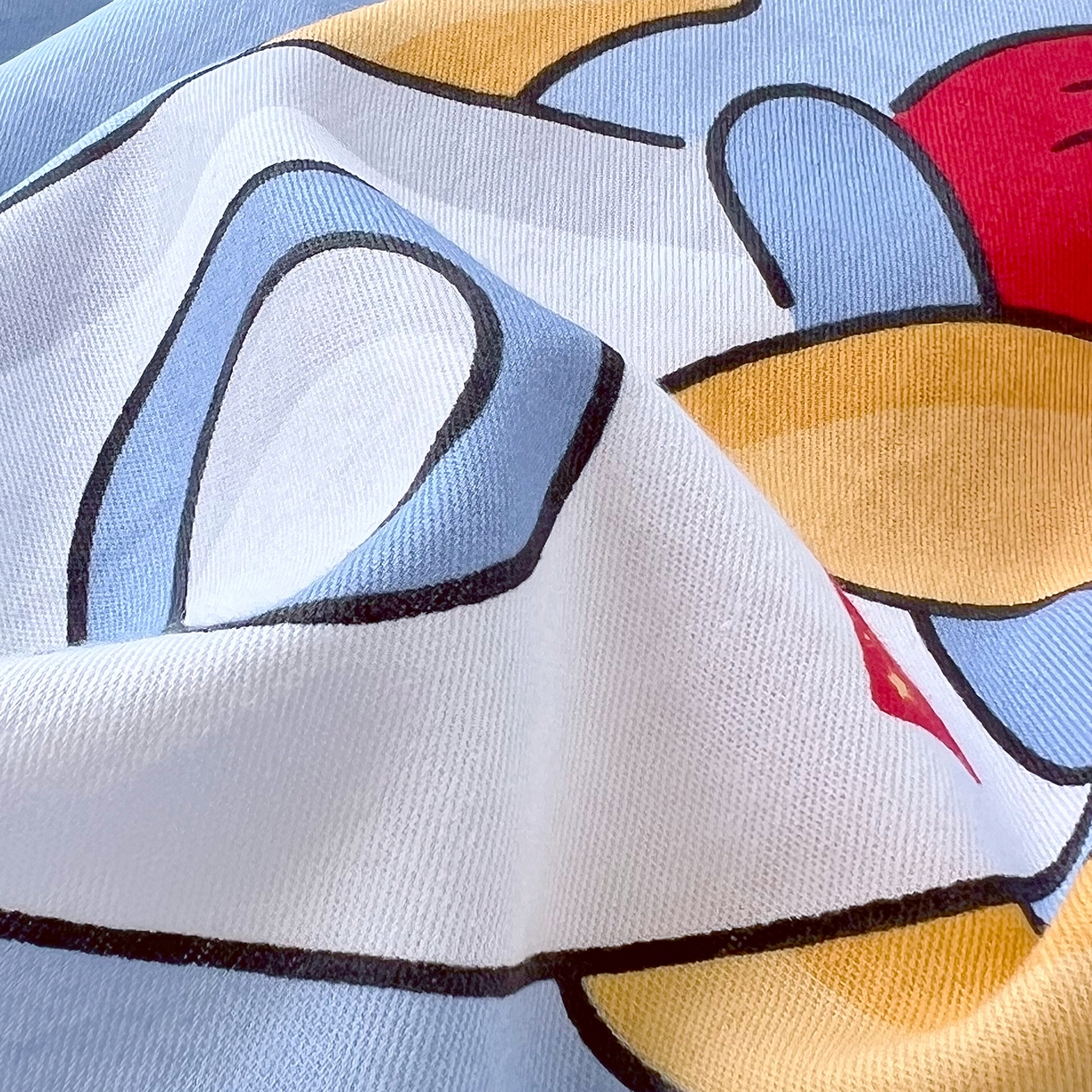 91家纺网 家纺一手货源 找家纺 金鑫汇家纺 2025新款全棉豆豆绒系列单枕套-棉加绒系列 棉加绒-冲上云霄