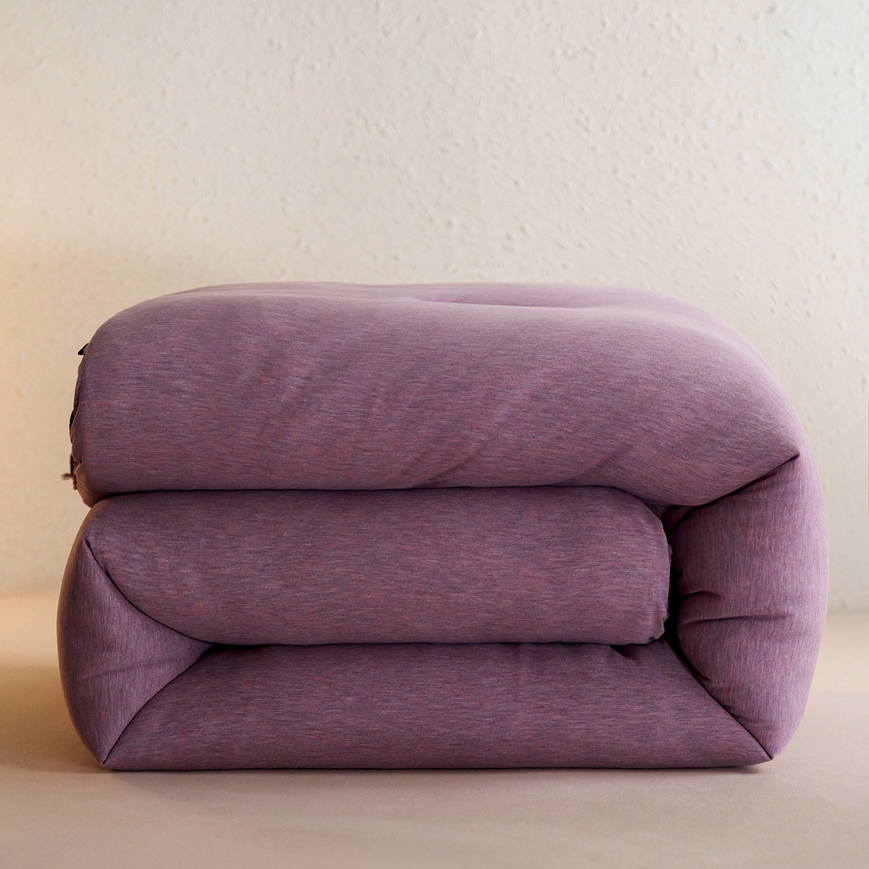 91家纺网 家纺一手货源 找家纺 （总）莱福仕家纺 2025新款雪尼尔10A中科抗菌被被子被芯