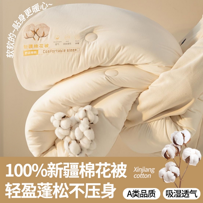 爱彼家纺 2025冬季新款A类100%新疆棉花被棉絮春秋被冬被被子被芯 新月白-100%棉花被