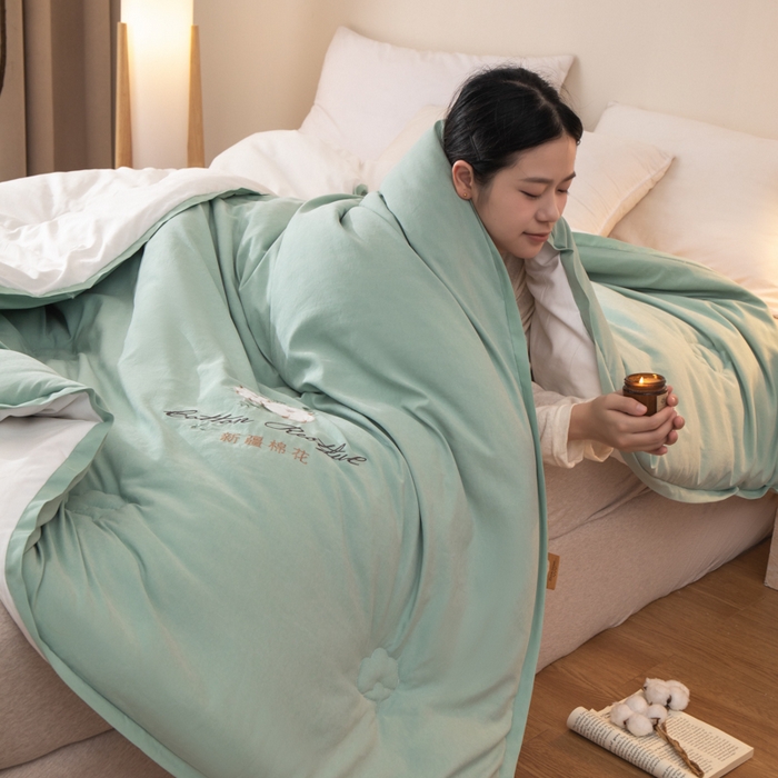 91家纺网 家纺一手货源 找家纺 衿成家纺 2025新款如沐暖阳新疆棉花被子被芯 绿拼白