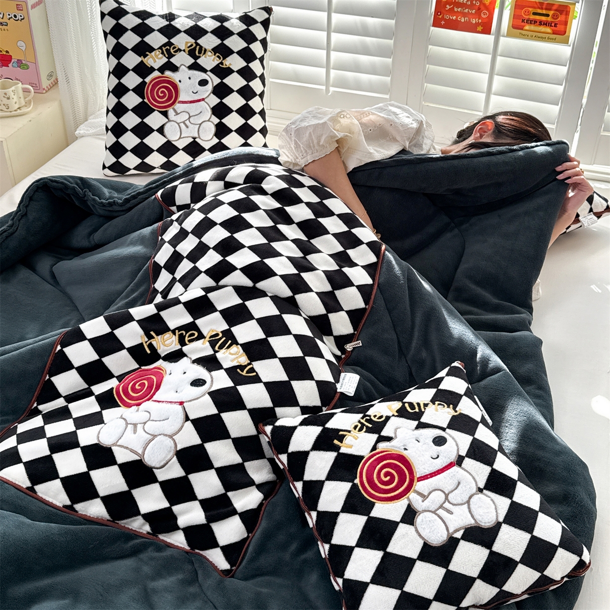 91家纺网 家纺一手货源 找家纺 （总）宝马家纺（原梦童画） 2025新款多巴胺风格牛奶绒贴布绣抱枕被