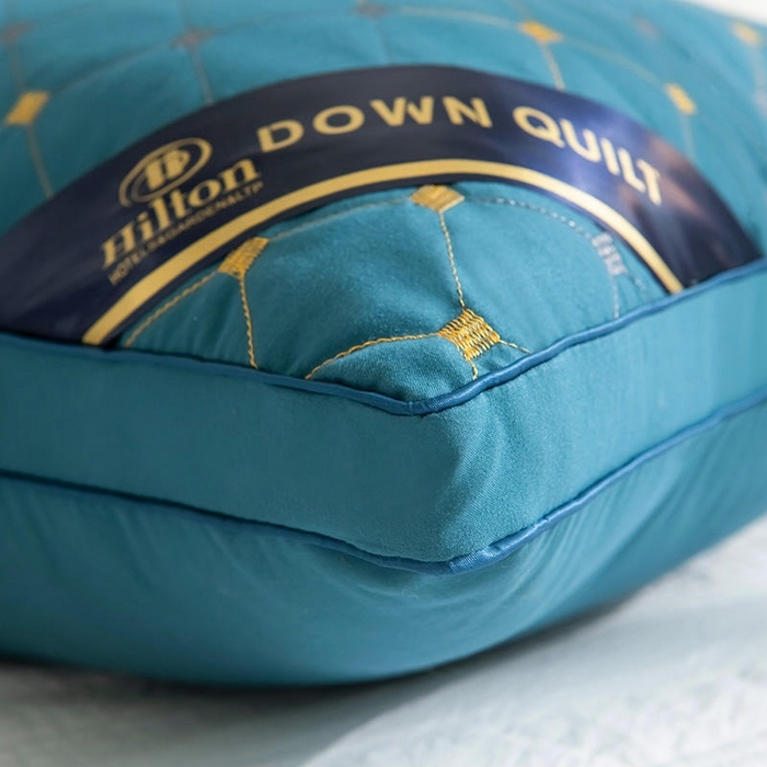 91家纺网 家纺一手货源 找家纺 佳尚枕芯 2025新款满天星立体枕芯直播跑量款礼品枕绗绣枕酒店枕立体羽丝绒枕头枕芯 立体满天星-兰