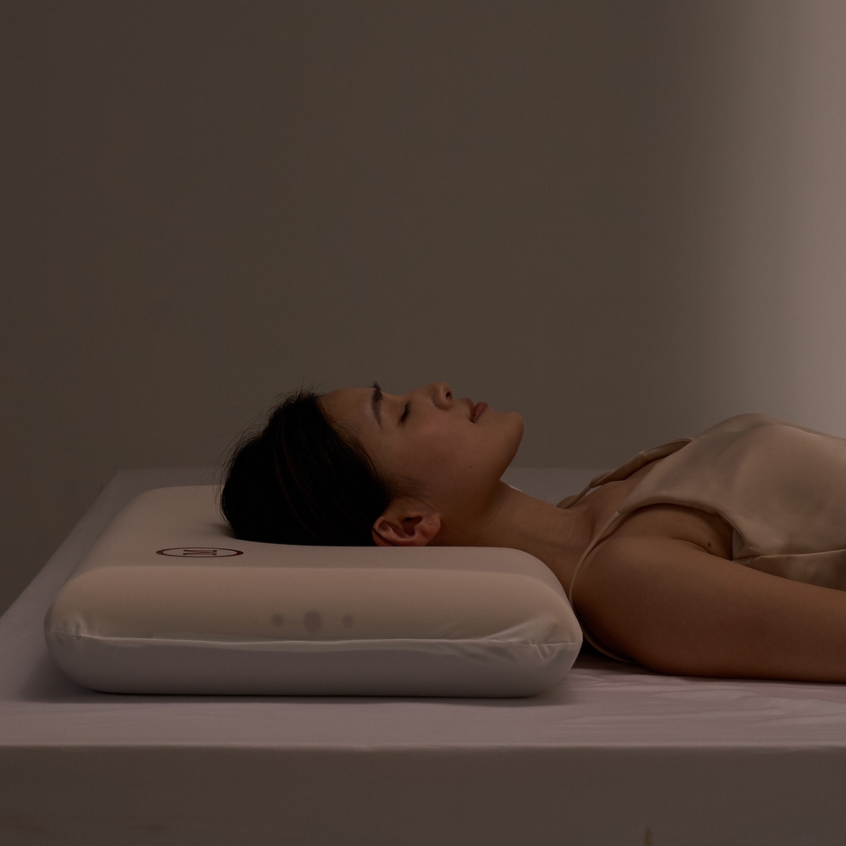 91家纺网 家纺一手货源 找家纺 蝶飞舞 2025新款（源头工厂）华会式M3.0记忆枕全季酒店枕零压力慢回弹深睡护颈椎枕 70*42*8cm