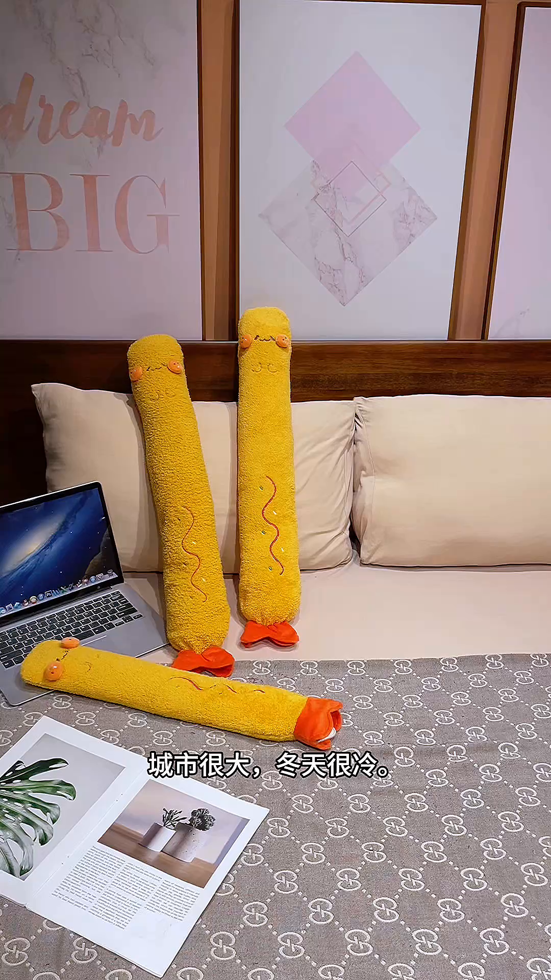 91家纺网 家纺一手货源 找家纺 （总）仟亿莱 2025新款可爱炸虾注水长条热水袋