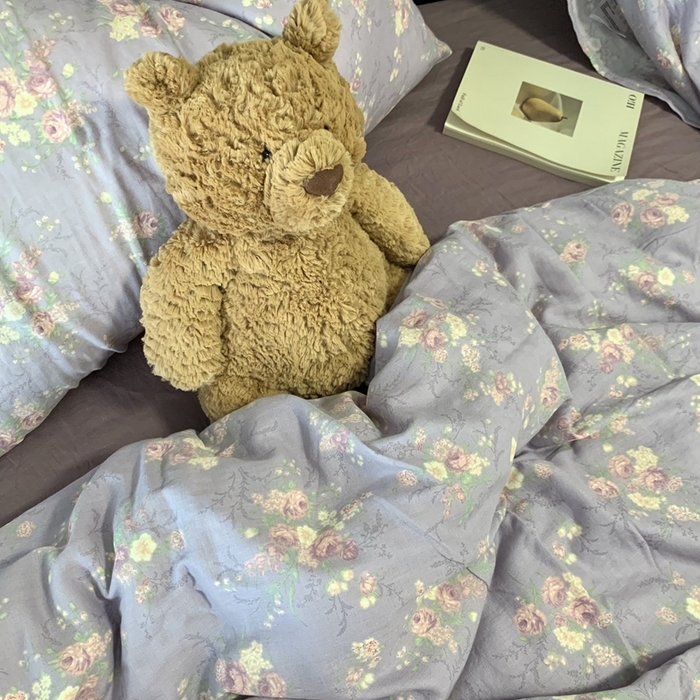 91家纺网 家纺一手货源 找家纺 源启生活 2025新款A类全棉双层纱四件套 伊芙琳