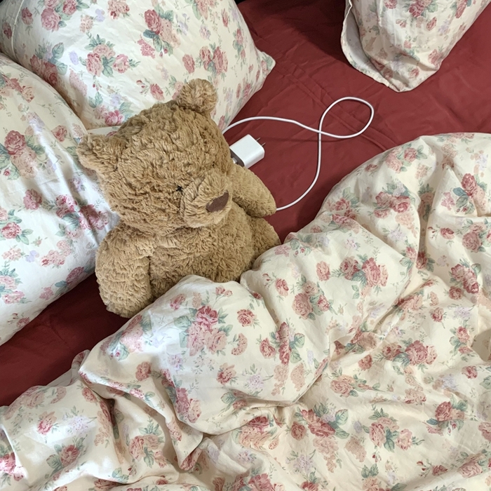 91家纺网 家纺一手货源 找家纺 源启生活 2025新款A类全棉双层纱四件套 拜里朵