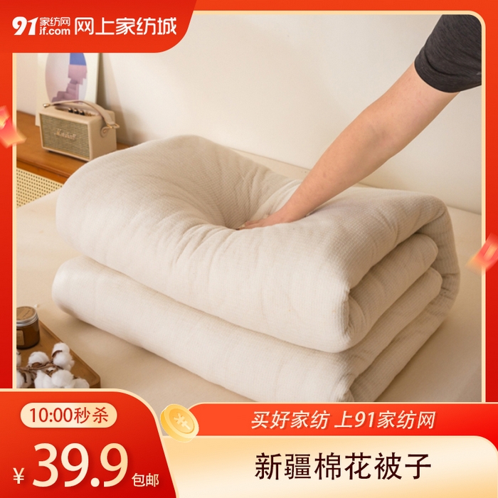 91家纺网 家纺一手货源 找家纺 【12.19周五秒杀 三人助力39.9带回家】渔纱网新疆棉花被芯,白色