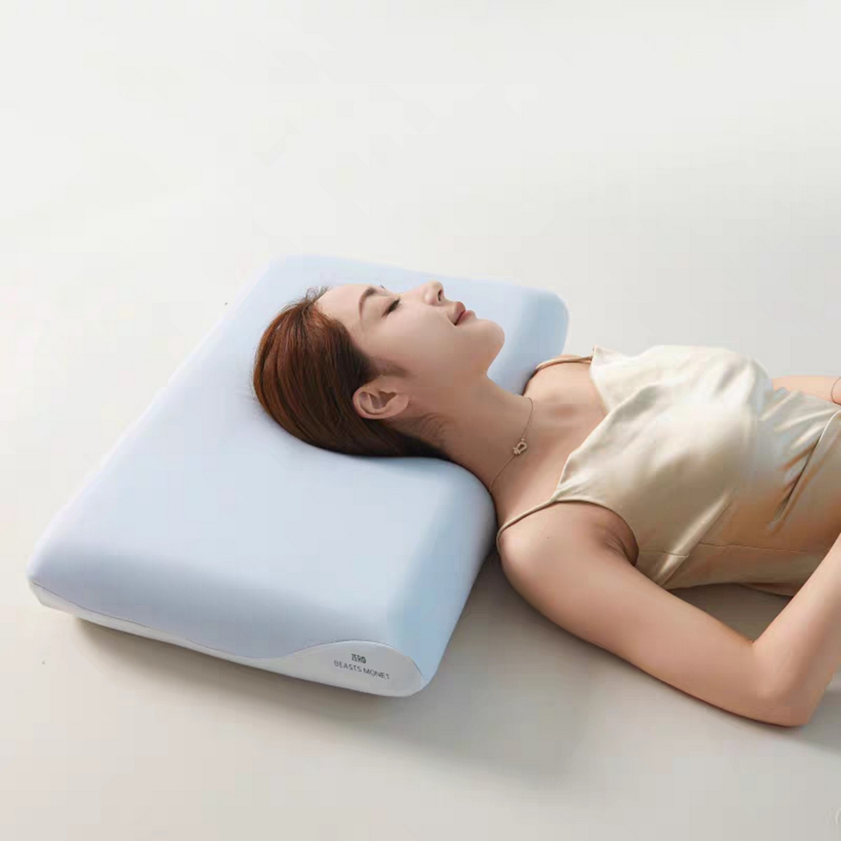 91家纺网 家纺一手货源 找家纺 （总）芯丝路枕业 2025新款酒店同款深睡记忆枕专用枕套