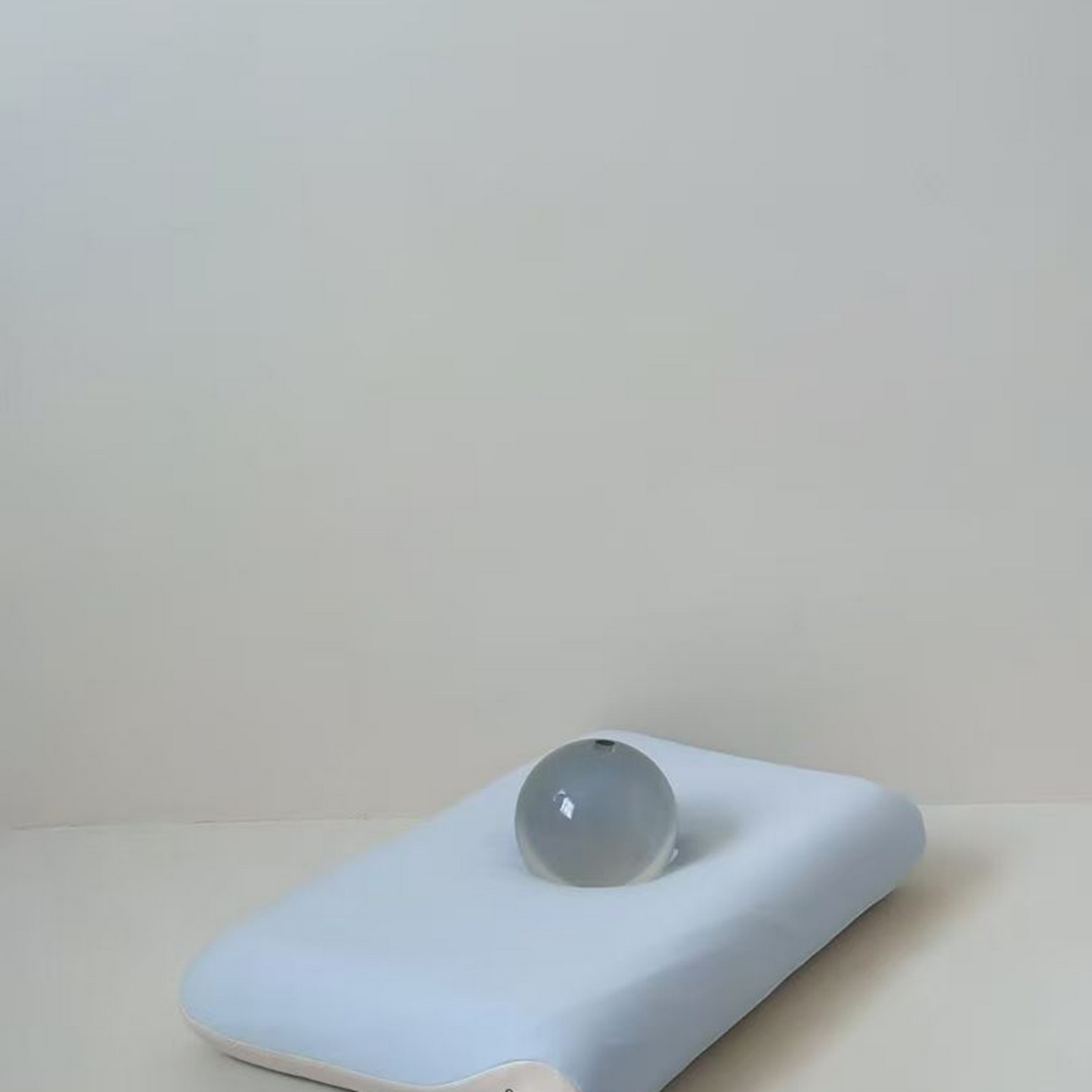 91家纺网 家纺一手货源 找家纺 （总）芯丝路枕业 2025新款酒店同款深睡记忆枕专用枕套