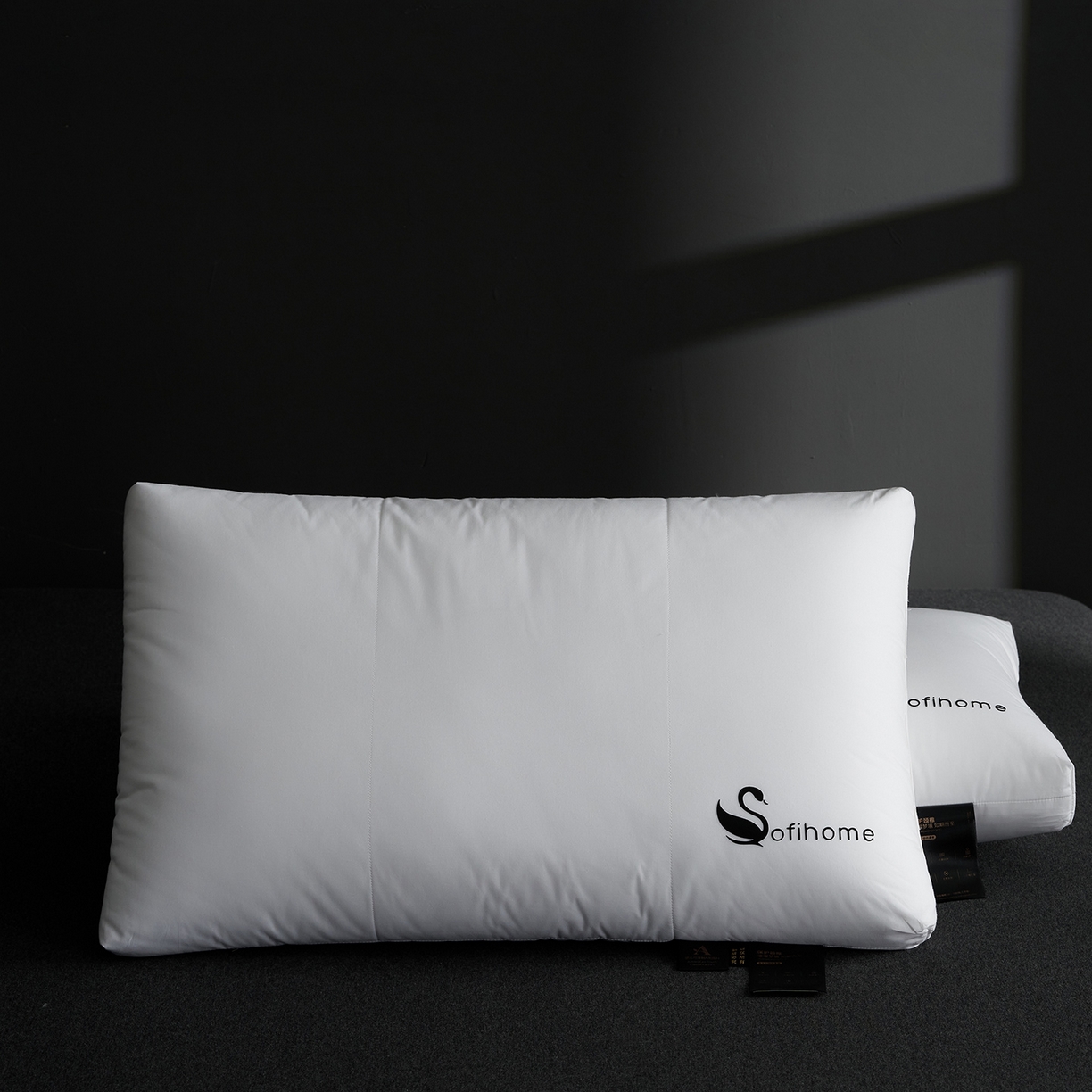 91家纺网 家纺一手货源 找家纺 （总）乐可 2025新款黑天鹅酒店枕A类全棉枕头枕芯