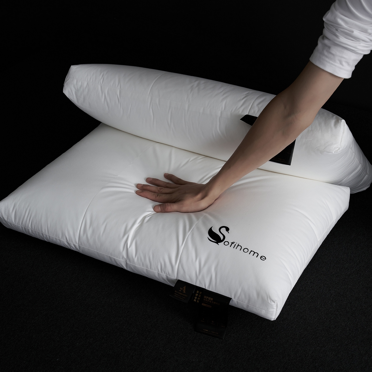 91家纺网 家纺一手货源 找家纺 （总）乐可 2025新款黑天鹅酒店枕A类全棉枕头枕芯