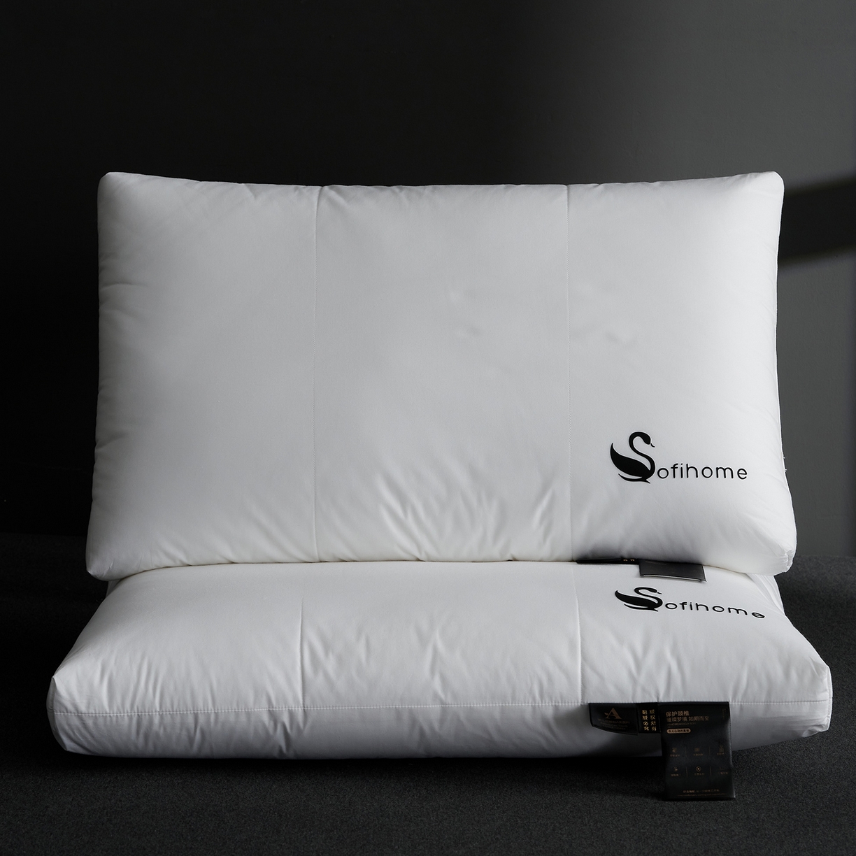 91家纺网 家纺一手货源 找家纺 （总）乐可 2025新款黑天鹅酒店枕A类全棉枕头枕芯