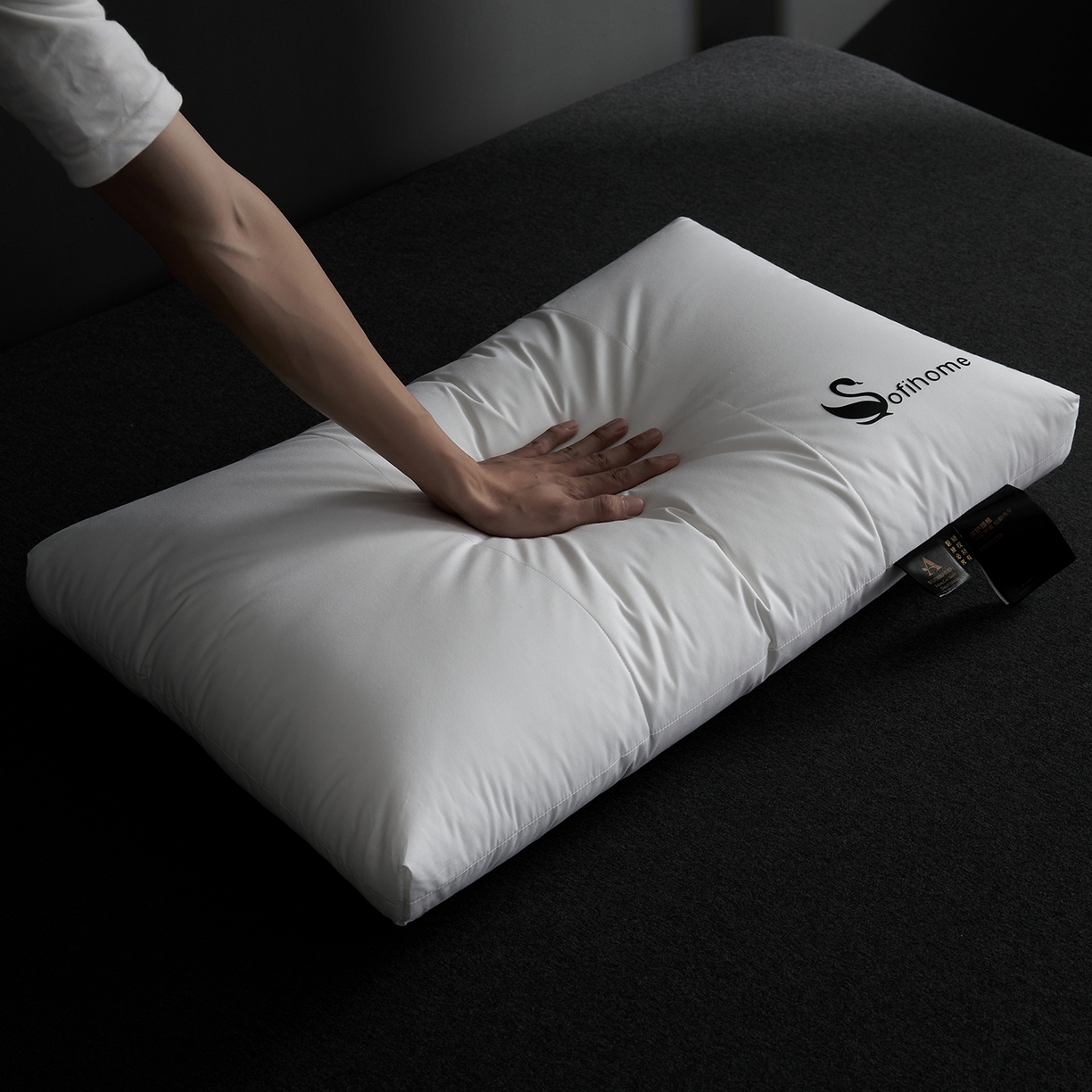 91家纺网 家纺一手货源 找家纺 乐可 2025新款黑天鹅酒店枕A类全棉枕头枕芯 黑天鹅酒店枕-中枕