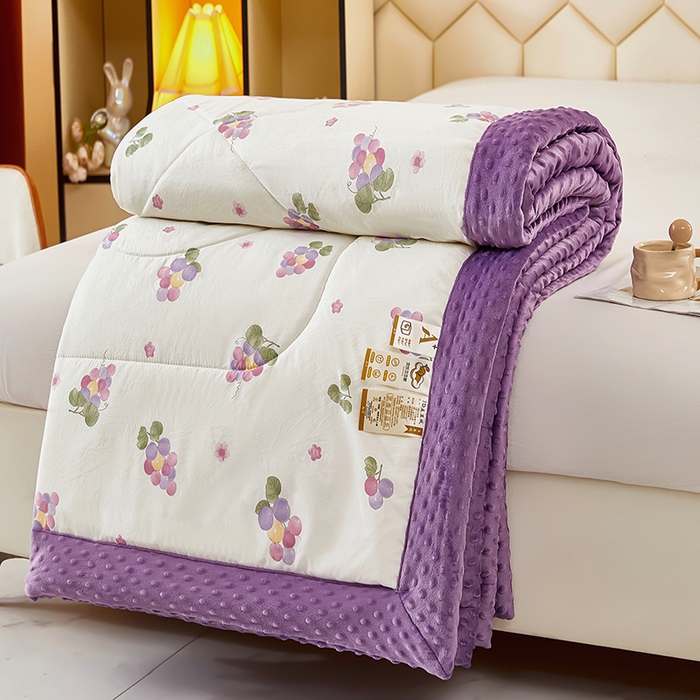 蔻之羽 （全年现货）2026年新款豆豆被春秋被夏被加厚冬被空调被四季绒被子 葡萄紫