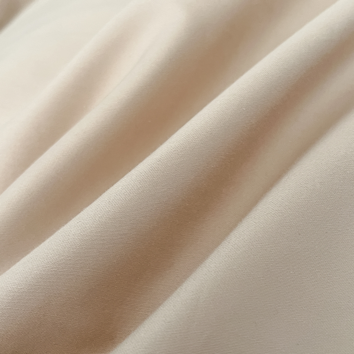 91家纺网 家纺一手货源 找家纺 新方向 2026新款刺绣全棉100s贡缎长绒棉四件套-茶花开了 茶花开了-香槟