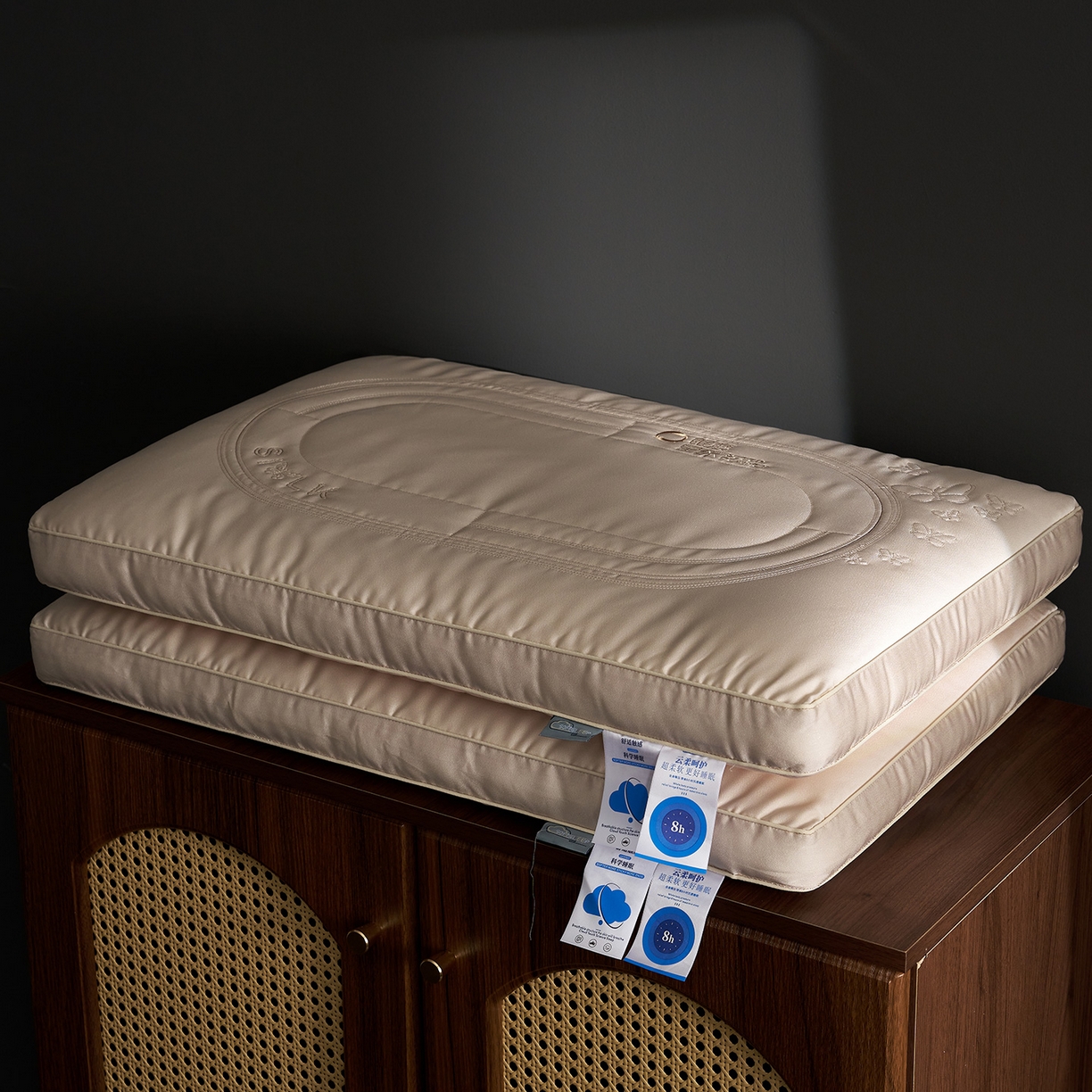 91家纺网 家纺一手货源 找家纺 （总）乐可 2025新款眠度星球枕全棉蚕丝枕 枕头枕芯