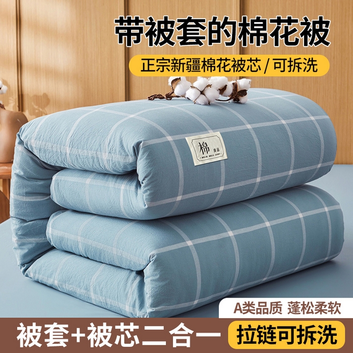 猎鹿人家纺 2025新款A类水洗棉可拆洗新疆棉花冬被 马卡龙