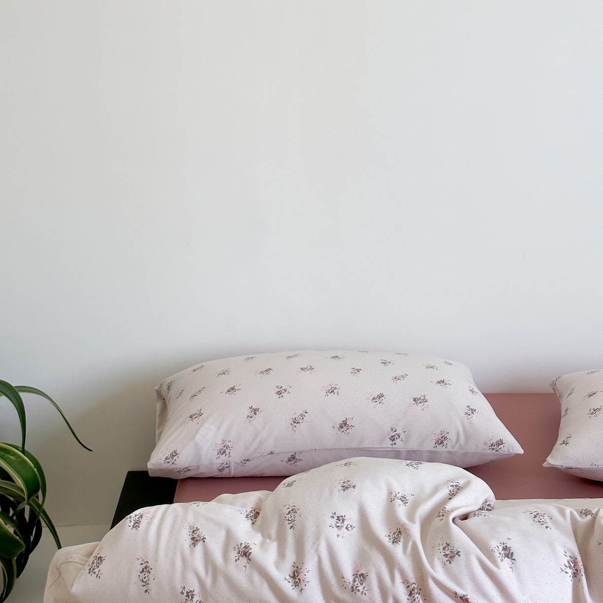 91家纺网 家纺一手货源 找家纺 爱丽丝 2026新款全棉针织四件套 赫拉