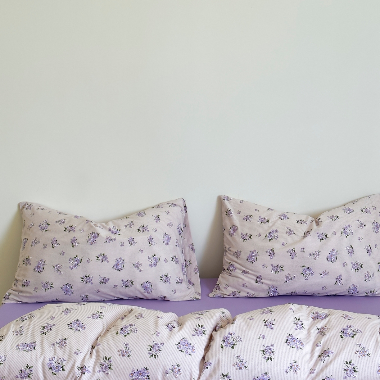 爱丽丝 2026新款全棉针织四件套 迷迭紫