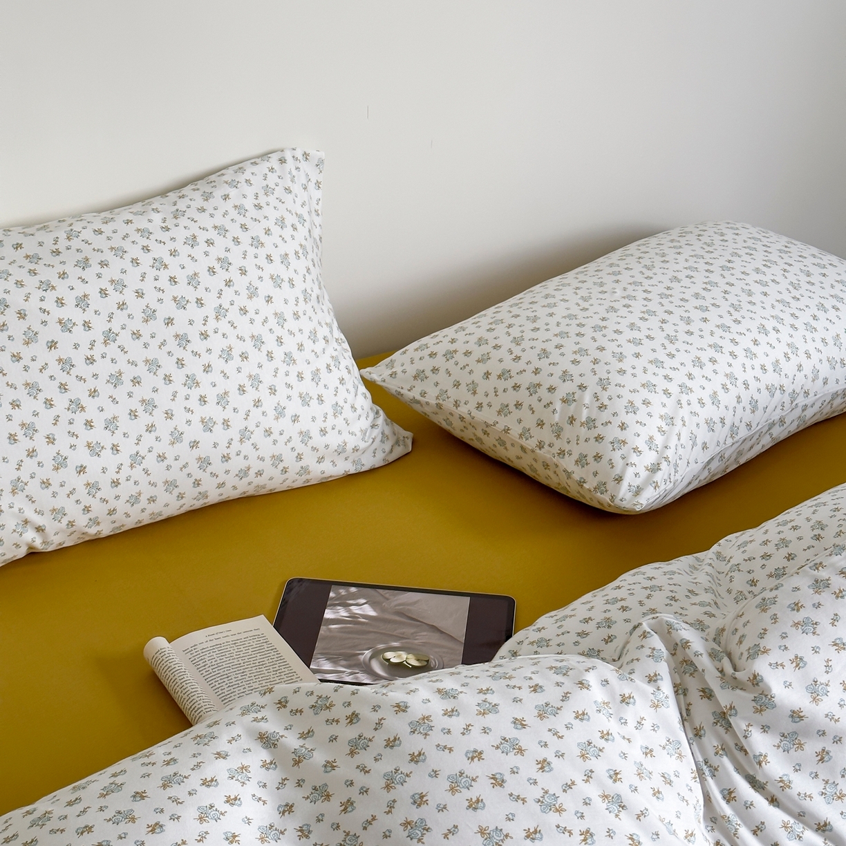 爱丽丝 2026新款全棉针织四件套 清欢