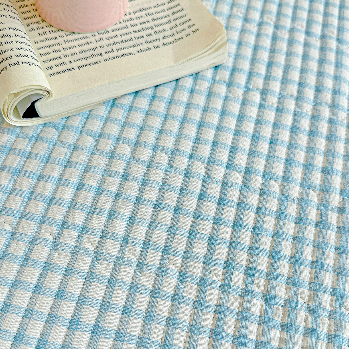 91家纺网 家纺一手货源 找家纺 恒尚居 2026新款A双层纱B牛奶绒床盖双面两用夹棉床单学生床垫床褥子 天蓝格【A双层纱-B牛奶绒】