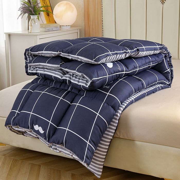 91家纺网 家纺一手货源 找家纺 友承家纺 2026新款床上用品加厚保暖冬被棉被春秋被褥被芯学生单人宿舍羽丝棉被水洗棉垫被 初遇