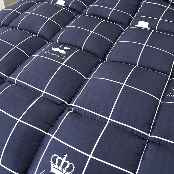 91家纺网 家纺一手货源 找家纺 友承家纺 2026新款床上用品加厚保暖冬被棉被春秋被褥被芯学生单人宿舍羽丝棉被水洗棉垫被 初遇