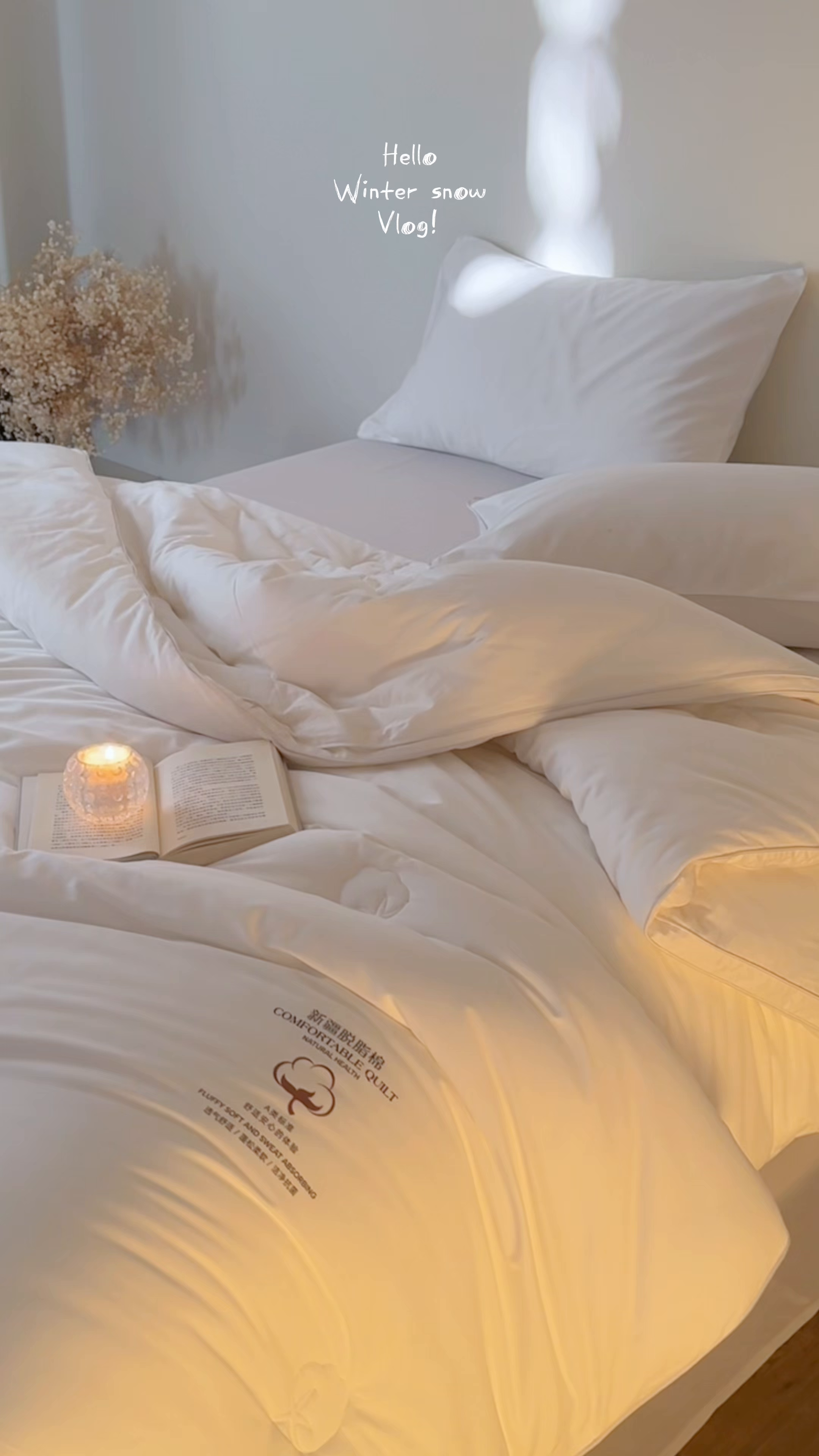 91家纺网 家纺一手货源 找家纺 （总）头等舱 2026新款全棉A类（7A抗菌）脱脂100%棉花被（空镜图）