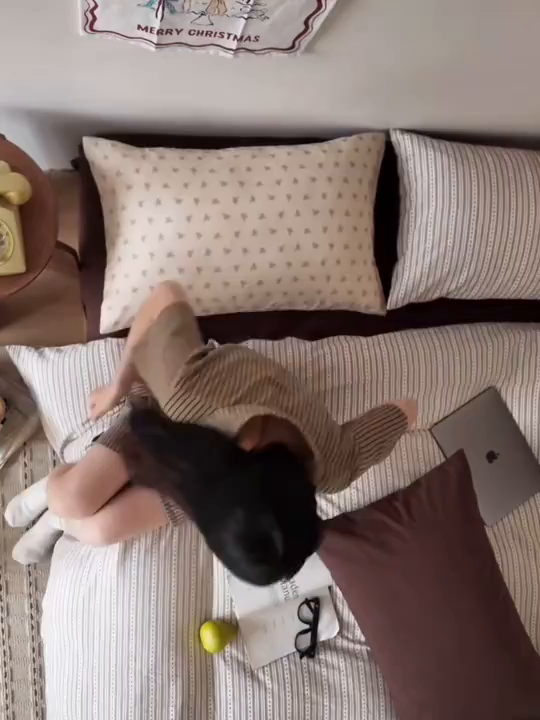 91家纺网 家纺一手货源 找家纺 蜜宿 2026新款全棉色织提花四件套-半岛日记 半岛日记（咖）