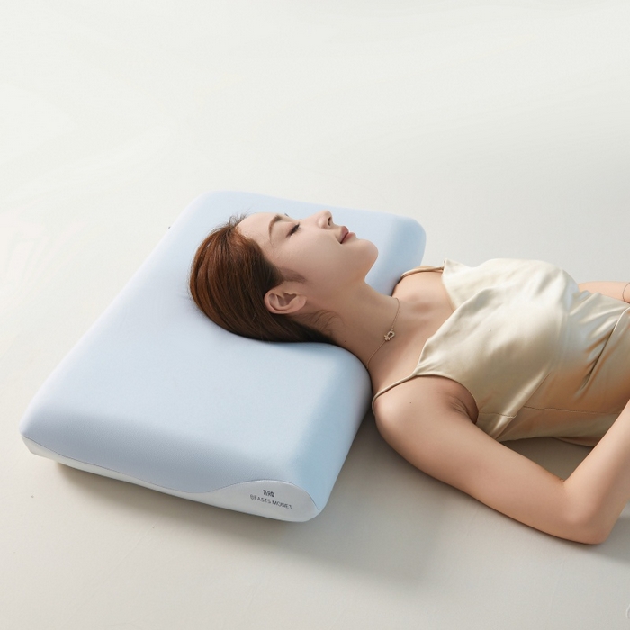 91家纺网 家纺一手货源 找家纺 （总）蝶飞舞 2026新款【源头工厂】酒店同款慢回弹三代pro3.0深睡护颈记忆枕枕头枕芯