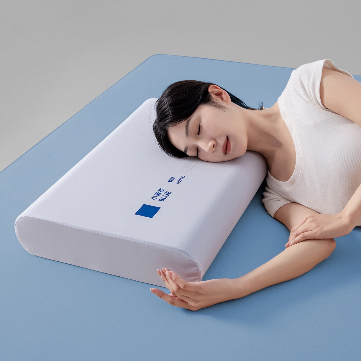 91家纺网 家纺一手货源 找家纺 （总）贵夫人 2026新款小蓝芯记忆护颈枕枕头枕芯 （简易装1.5元，礼盒4元，退货破损扣除）