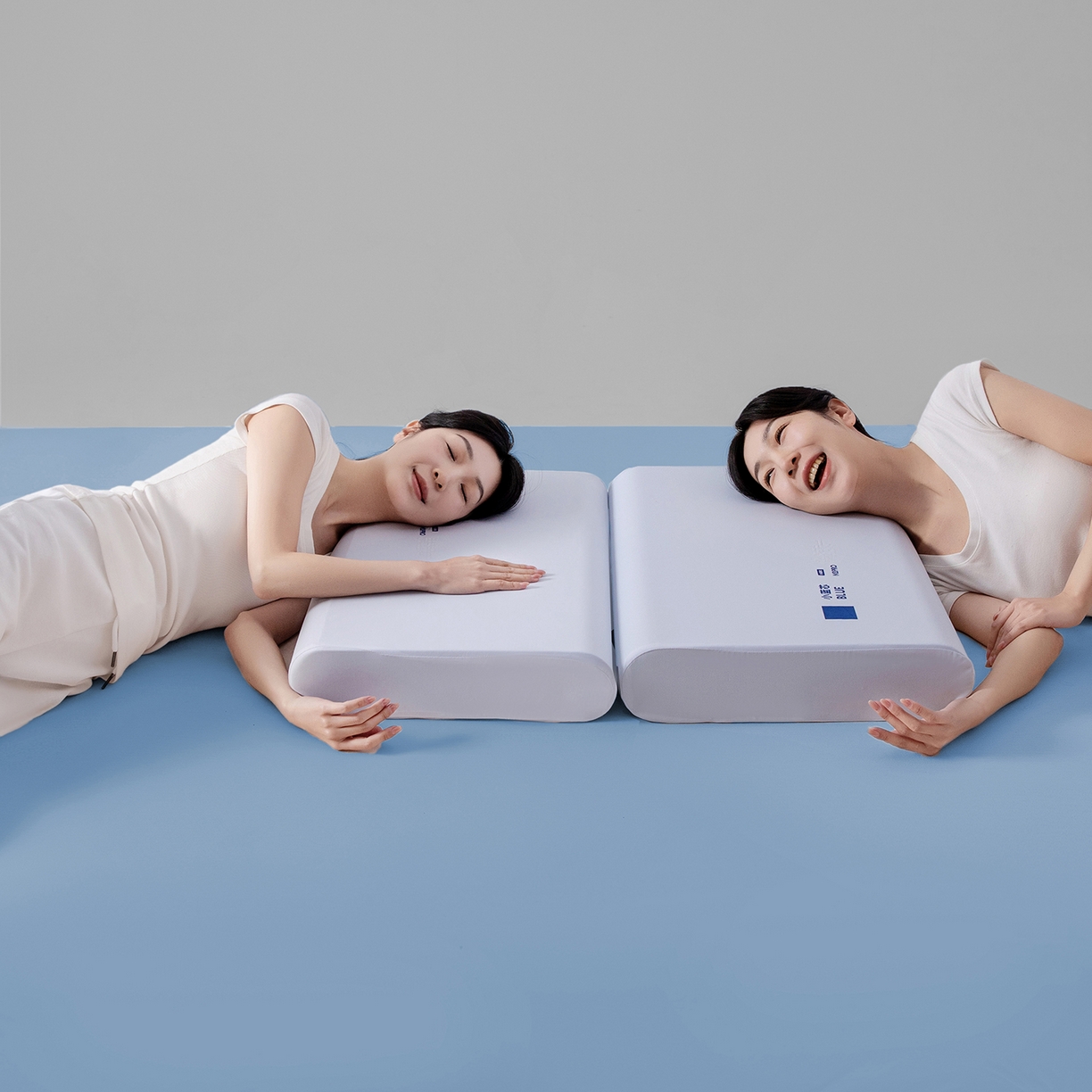 91家纺网 家纺一手货源 找家纺 贵夫人 2026新款小蓝芯记忆护颈枕枕头枕芯 （简易装1.5元，礼盒4元，退货破损扣除） 8cm简装