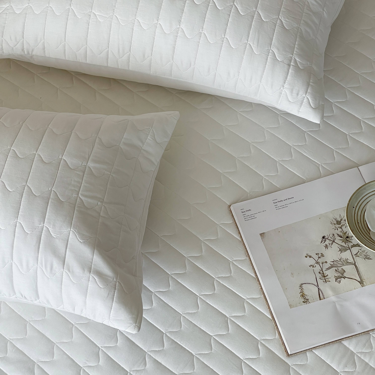 91家纺网 家纺一手货源 找家纺 三味舒屋 2025新款简约全棉纯棉夹棉床笠单床笠床笠单件-珍妮系列 珍妮白