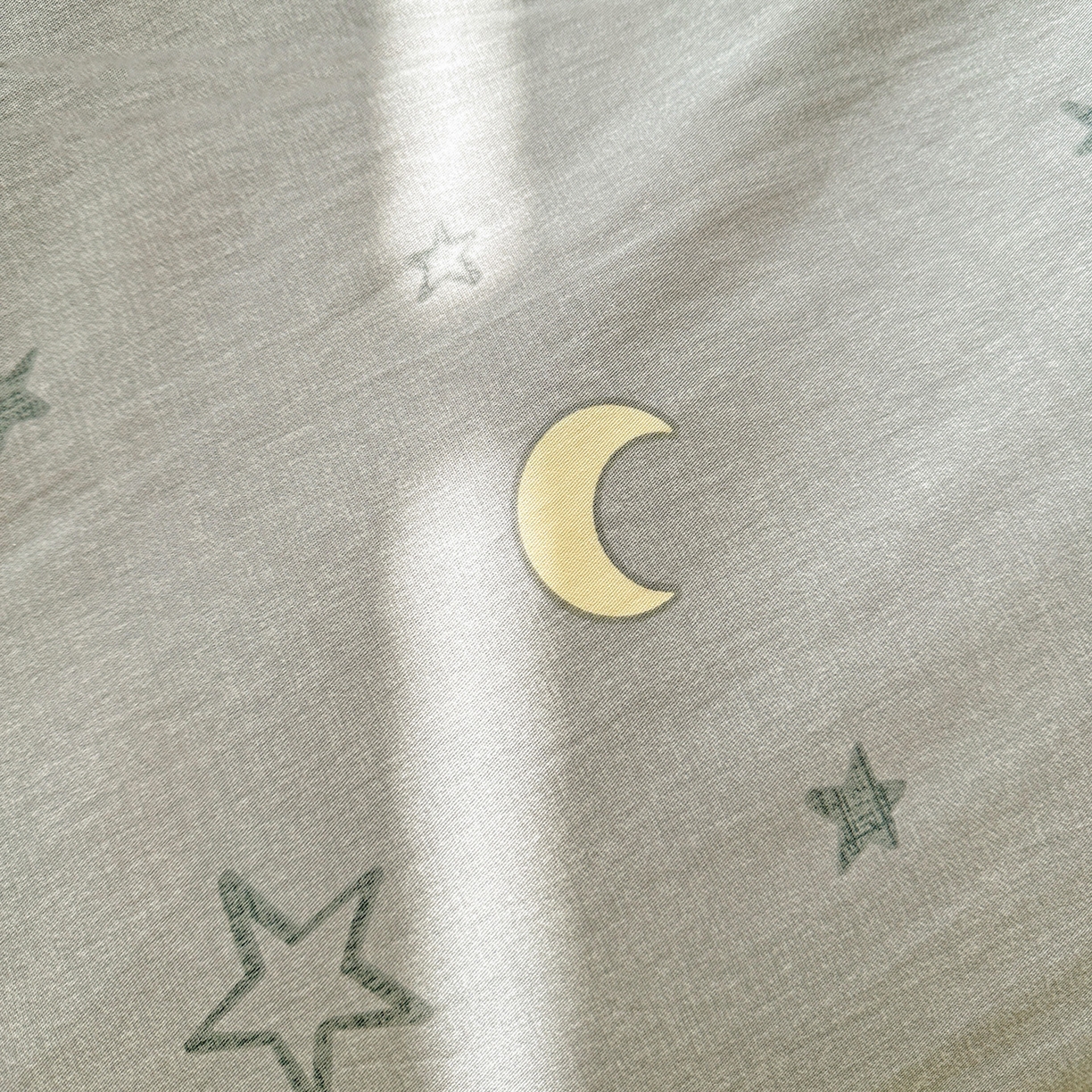 91家纺网 家纺一手货源 找家纺 春雨家居 2026新款全棉印花ins减龄可爱小清新单被套 暮洛星