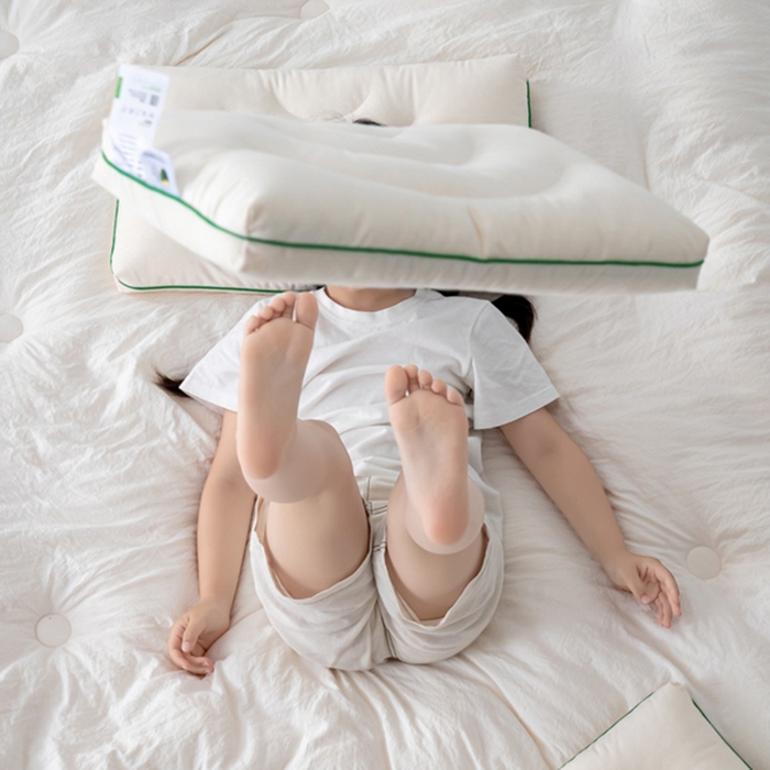 91家纺网 家纺一手货源 找家纺 （总）北鸣有鱼枕芯馆 2025新款荷兰绒生物基大豆熊猫枕枕头枕芯