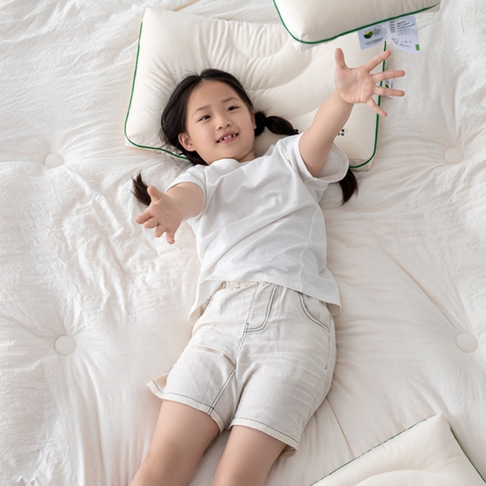 91家纺网 家纺一手货源 找家纺 （总）北鸣有鱼枕芯馆 2025新款荷兰绒生物基大豆熊猫枕枕头枕芯