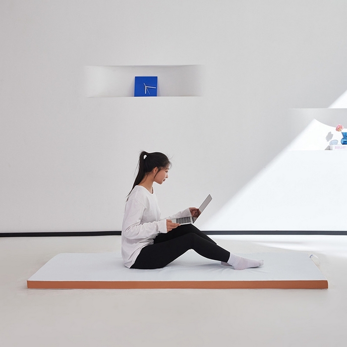 91家纺网 家纺一手货源 找家纺 （总）小豚鼠 2025新款拼色高弹海绵垫（质保3年不塌陷）