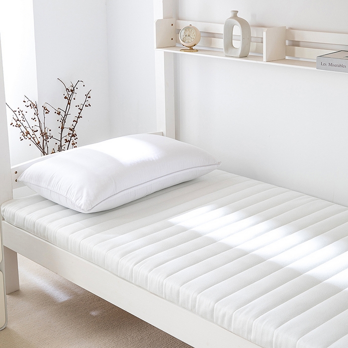 91家纺网 家纺一手货源 找家纺 （总）小豚鼠 2025新款凝胶记忆棉床褥榻榻米记忆棉学生床上下铺床垫薄垫