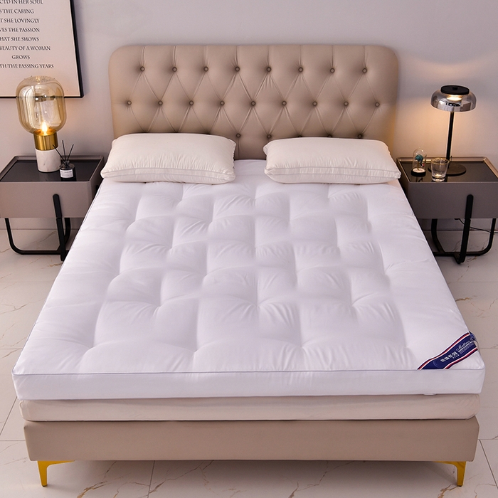 小豚鼠 2025新款跨境日式床垫民宿加厚榻榻米床垫大豆纤维透气宿舍床褥垫酒店批发 白色