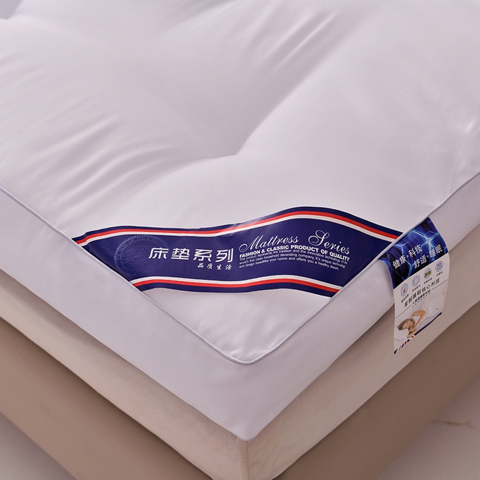 91家纺网 家纺一手货源 找家纺 小豚鼠 2025新款跨境日式床垫民宿加厚榻榻米床垫大豆纤维透气宿舍床褥垫酒店批发 白色