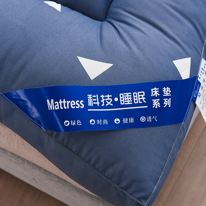 91家纺网 家纺一手货源 找家纺 小豚鼠 2025新款-羽丝绒立体床垫学生床垫宿舍单双人床褥榻榻米床垫 灰三角