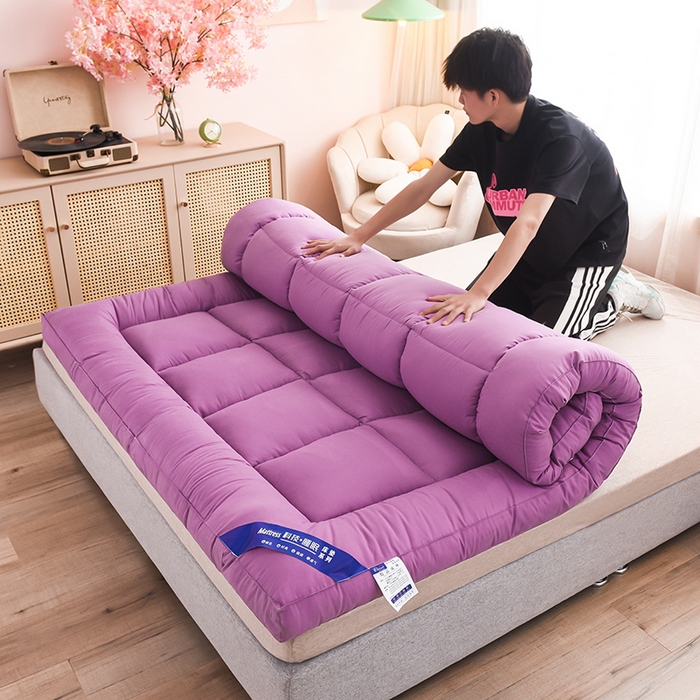 91家纺网 家纺一手货源 找家纺 小豚鼠 2025新款-羽丝绒立体床垫学生床垫宿舍单双人床褥榻榻米床垫 紫色