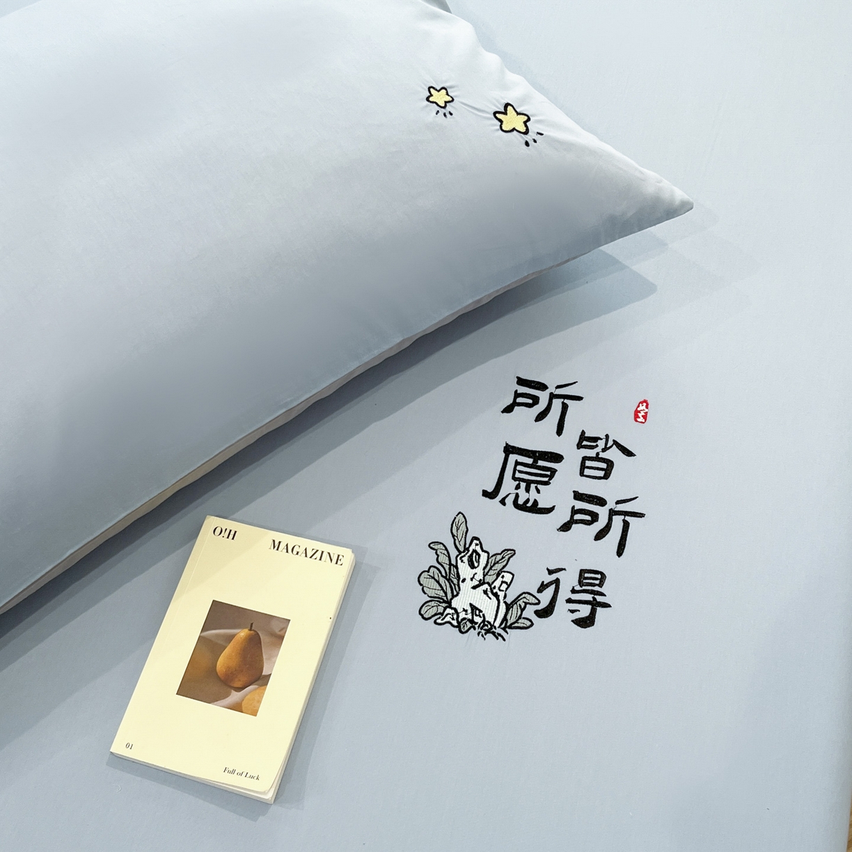 91家纺网 家纺一手货源 找家纺 泽西家纺+V17798841158发大图 2026新品全棉13376刺绣简约星星枕套 水雾蓝